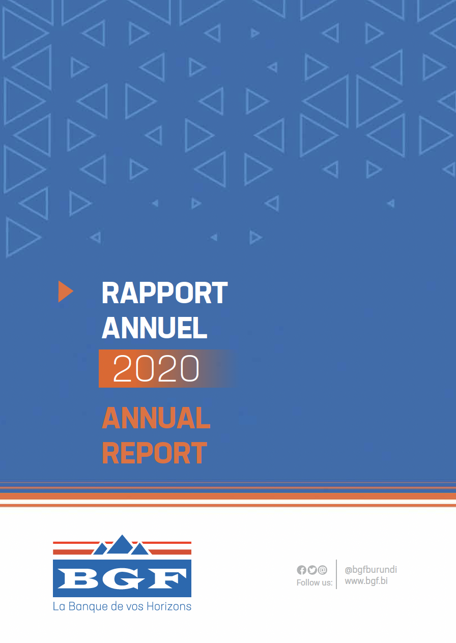 Rapport Annuel 2020